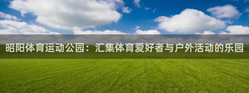 vsport体育在线官网