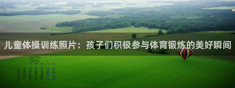 vsport体育在线官网