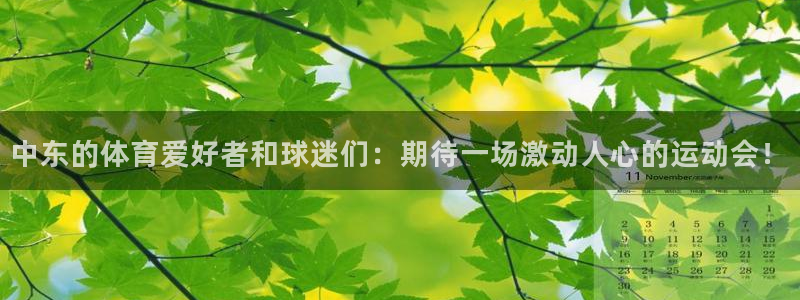 vsport体育