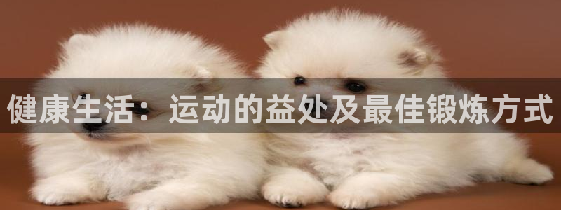 vsport体育在线官网