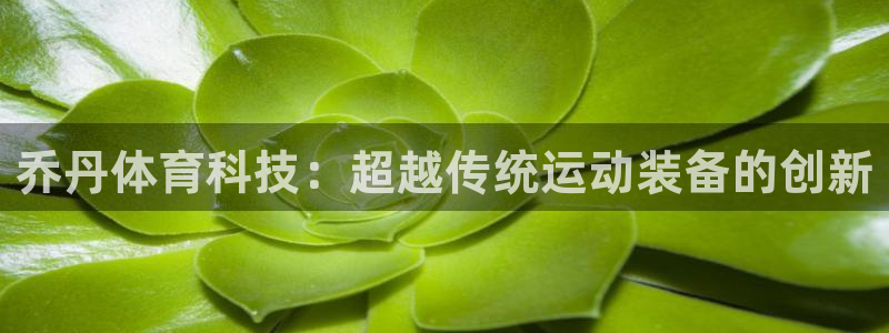 vsport体育在线官网