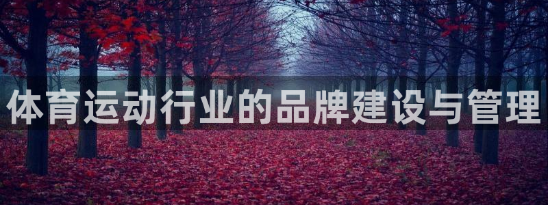 vsport体育在线官网