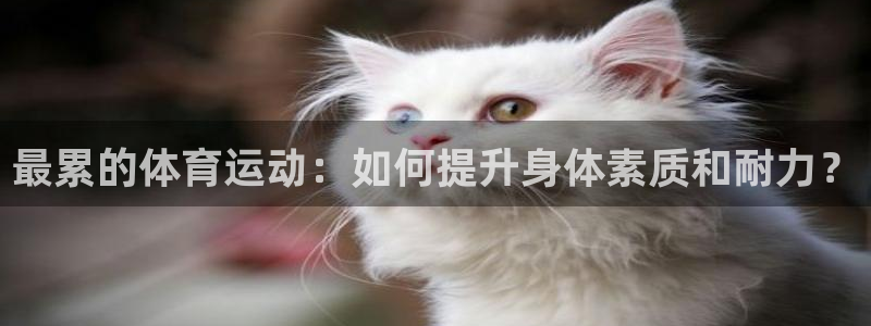 vsport体育在线官网