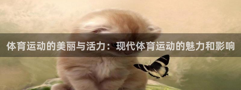 vsport体育