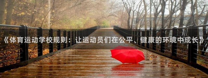 vsport体育在线官网