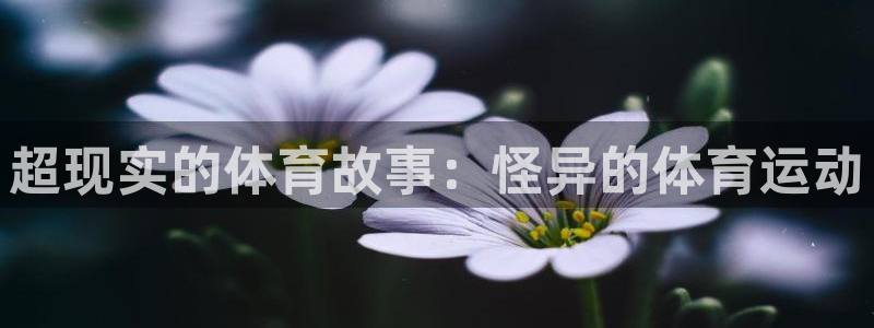 vsport体育