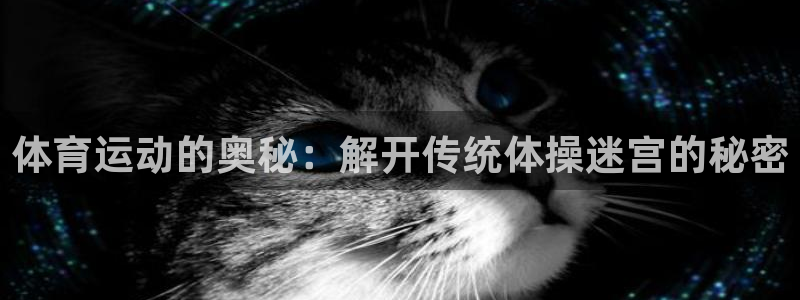 vsport体育