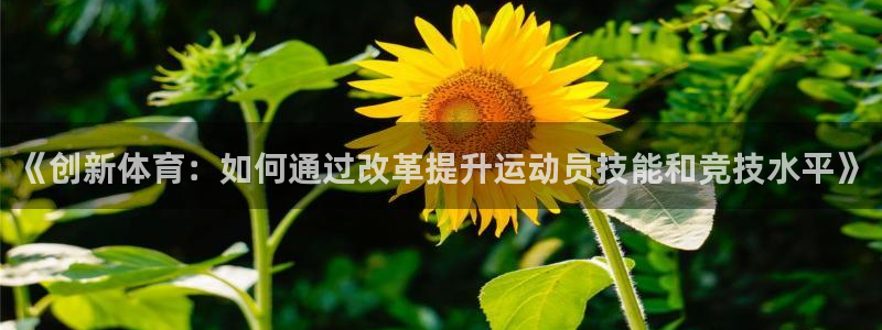 vsport体育在线官网