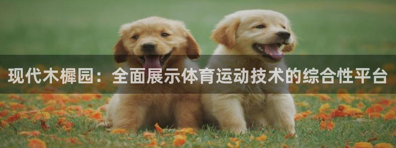 vsport体育在线官网
